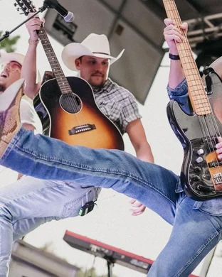 Live Between The Hedges