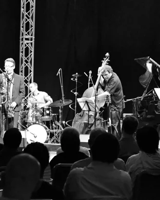 Tinsley Ellis Athens