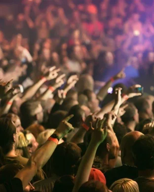 Live concert by Drive