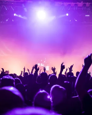 Live concert by Drink The Sea