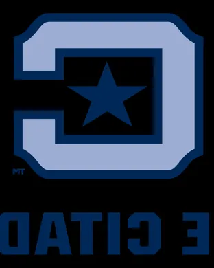 The Citadel Bulldogs