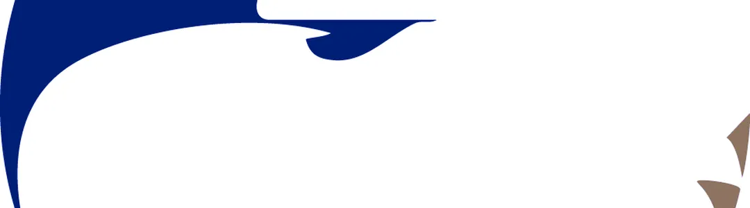 Georgia Southern Eagles