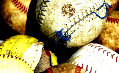 Georgia Tech Yellow Jackets Softball