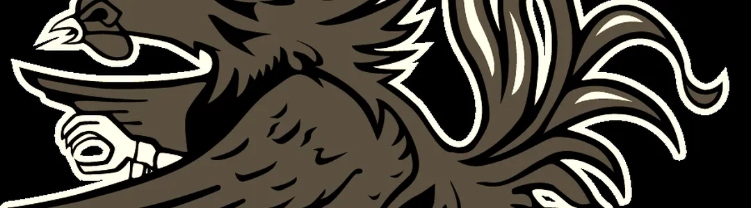 South Carolina Gamecocks