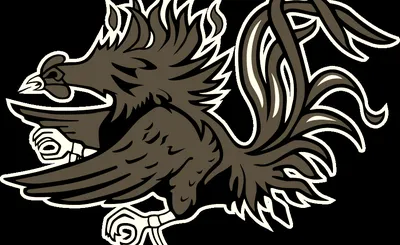 South Carolina Gamecocks