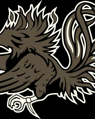 South Carolina Gamecocks vs. Georgia Bulldogs