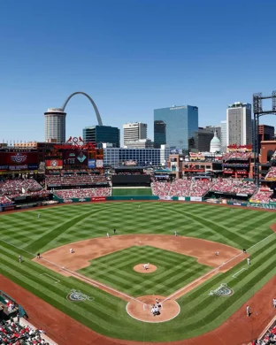 Presbyterian Blue Hose