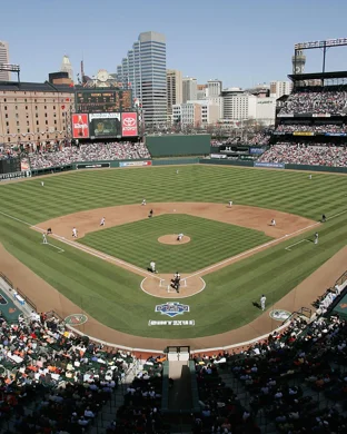 Auburn Tigers Baseball