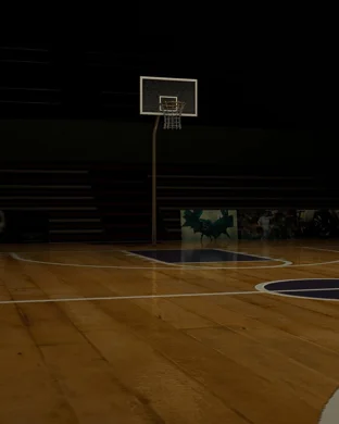 Tennessee Volunteers Basketball