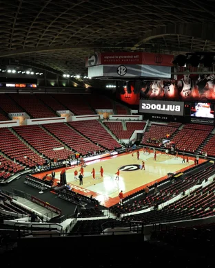 Georgia Bulldogs Women's Basketball vs. Arkansas Lady Razorbacks