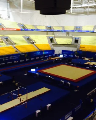 Alabama Crimson Tide Women's Gymnastics