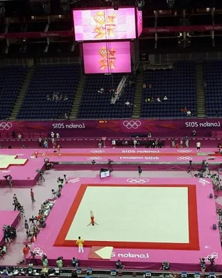Georgia Bulldogs Women's Gymnastics vs. Missouri Tigers