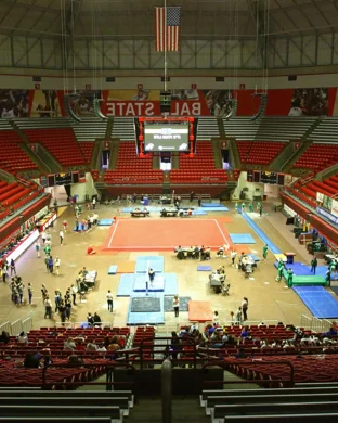 Georgia Bulldogs Women's Gymnastics