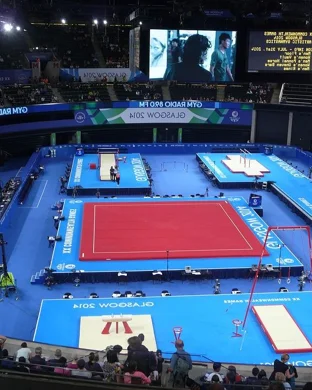 Georgia Bulldogs Women's Gymnastics vs. Florida Gators
