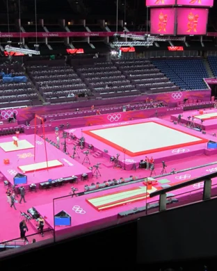 Arkansas Razorbacks Women's Gymnastics vs. Georgia Bulldogs