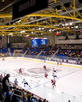 Georgia Bulldogs Hockey Athens