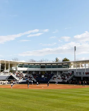 Georgia Bulldogs Softball