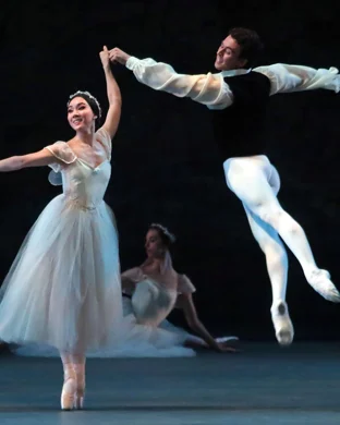 International Ballet Stars: Swan Lake